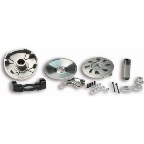 Variateur Malossi pour Auto 516498 Neuf