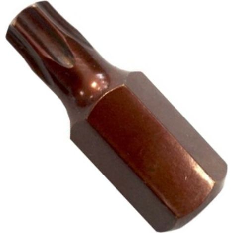 Punta Torx T35x10mm L-30 Premium (1/2)