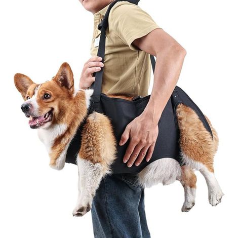 Harnais de soutien arrière pour chien - Sling de levage en tissu Oxford pour chiens âgés, blessés et post-opératoires, noir (1/5)
