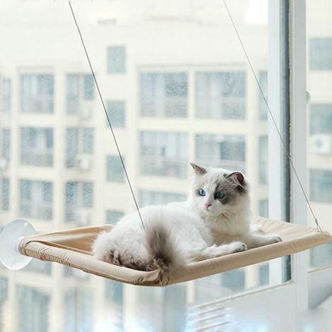 Hamac de fenêtre pour chat - MARQUE - Modèle - 55 x 35 cm - 18 kg - Facile à installer (1/4)