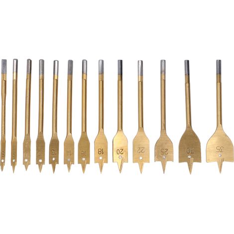 13 Pièces Mèches à Palette en Acier Carbone avec Tige Hexagonale 1/4" pour Travaux de Menuiserie