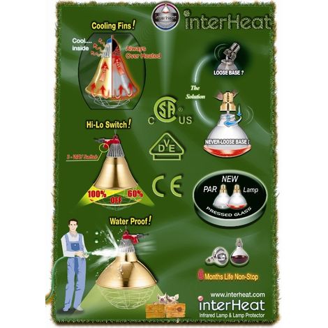 Bombilla Interheat 100 W Blanca PAR 2 uds