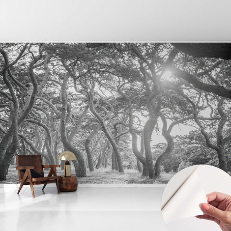 Carta da parati adesiva - fotomurale - facile da applicare - per la soggiorno - camera da letto - Foresta suggestiva 416x254 cm (1/5)