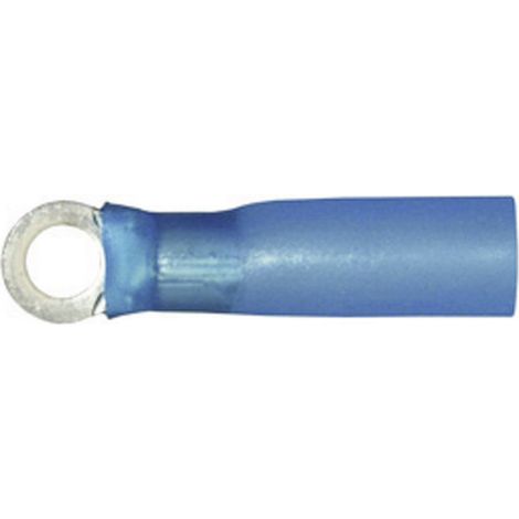 Vogt Verbindungstechnik 3639ah Ringkabelschuh mit Schrumpfschlauch Querschnitt (max.)=2.50 mm² Loch-