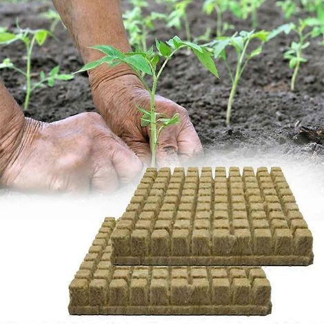 50/100 blocs de laine de roche pour la propagation, le clonage, la levée de graines, la culture hors-sol et les cubes de laine de roche hydroponiques (1/2)