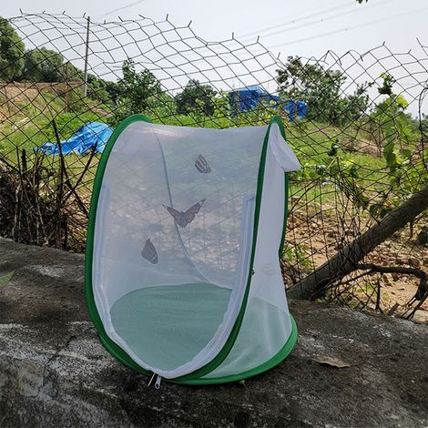 Cage à insectes pliable, cage à papillons, cage d'observation des insectes, cage en filet anti-insectes, verte (1/5)