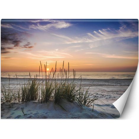 Carta Da Parati, Tramonto su una spiaggia - 250x175 (1/5)