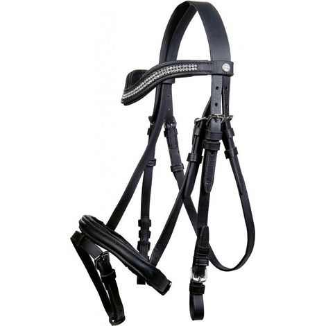 Pony, Noir 9100: Bridon en cuir modèle Little Stars avec rênes en toile pour poney et mouton