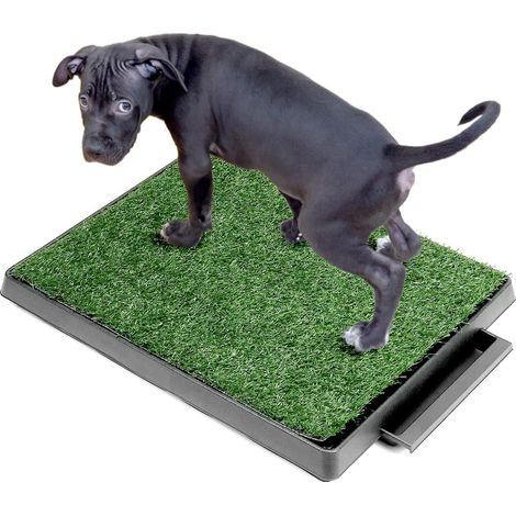 63 x 51 cm Toilettes pour Chien avec Herbe Artificielle, Facile à Nettoyer, pour Chiots et Chiens âgés (1/5)