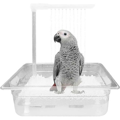 Baignoire pour perroquets, baignoire-douche pour oiseaux avec robinet à recirculation à 180°, compatible avec les oiseaux de taille moyenne comme les perroquets gris d'Afrique, prise standard américai