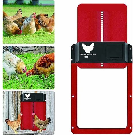 Puerta para gallinero - Puerta automática con sensor de luz - Impermeable - Puerta con inducción de luz (roja) - Productos más vendidos (1/5)