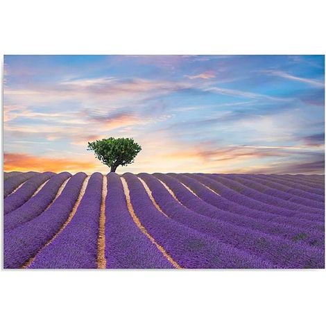 Tableau champ de lavande - 80 x 60 cm (1/5)