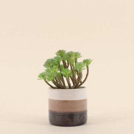 Plante grasse artificielle pot céramique rayé 13cm