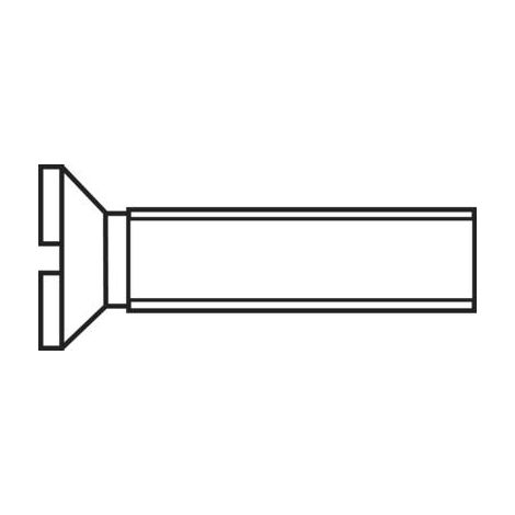 VIS À TÊTE FRAISÉE TOOLCRAFT 194827 M310 D963-4.8:A2K 100 PC(S) M3 10 MM TÊTE FRAISÉE PLAT ACIER (1/2)