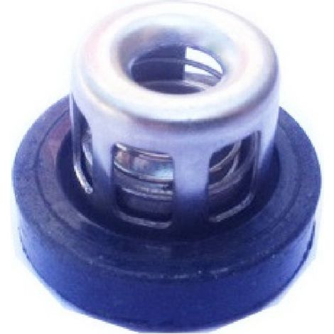 Valvula compatible con Tf100  Ref 445014