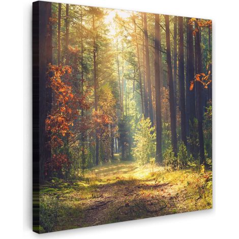TABLEAU SUR TOILE Forêt - Automne - Arbres Tableau Chambre Adulte 90x90 cm