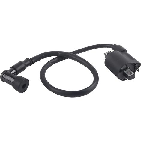 Bobine d'allumage pour VTT, scooter, cyclomoteur, Go-Kart, 150CC-250CC, 147g, polyvalent et pratique (1/5)