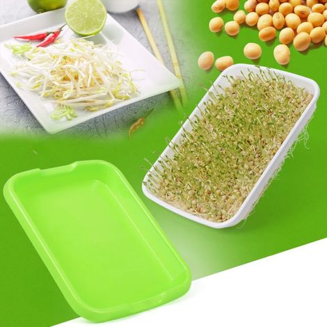 Filiyano-Plateau de germination pour micro-légumes, culture hydroponique à 2 niveaux, serre, semis de fleurs, légumes et fruits, jardin d'intérieur