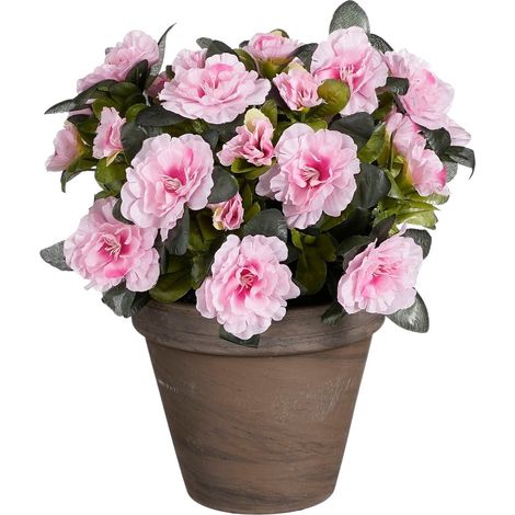 Mica Decorations Plante artificielle Rose H31xl26xL26cm (1/4)