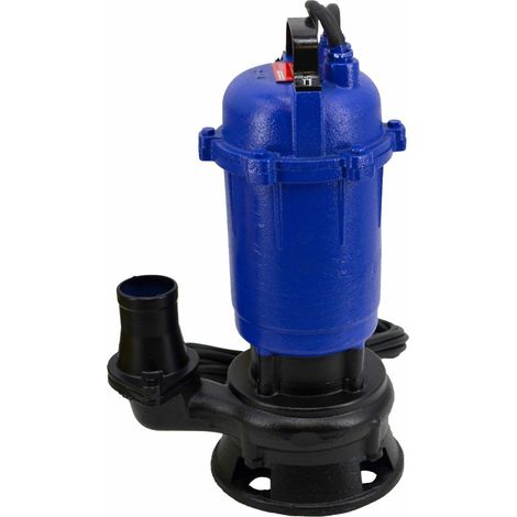 Awtools Modello di pompa acqua 1050W in ghisa robusta
