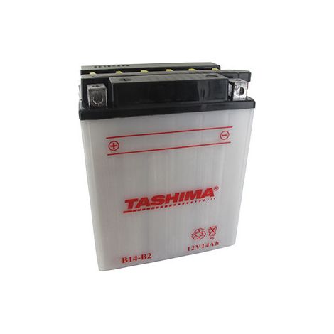 Batterie Bleisäure Tashima Verstärkt 12V, 14Ah. L: 134, B: 89, H: 166mm, + links Für Motorräder, Quads, Nutzfahrzeuge. (mit Säure geliefert)
