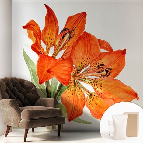 Papier peint intissé décoratif avec colle pour salon chambre et bureau Installation rapide Lys orange 250x250 cm (1/5)