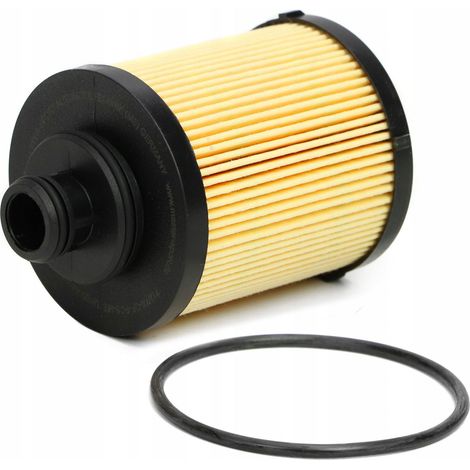 Filtro olio FIAT GRANDE PUNTO 199 1.3 JTD Multijet (1/5)