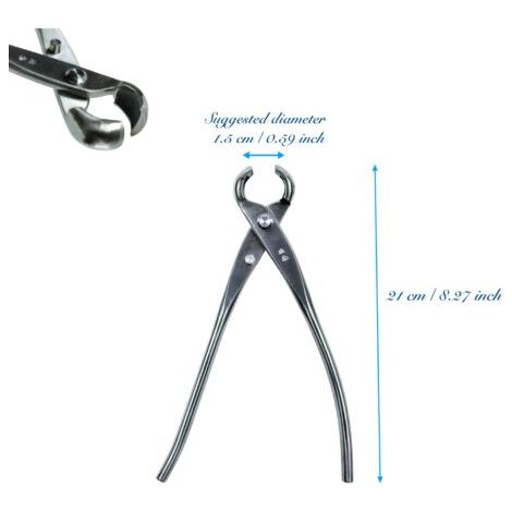 Sécateur Bonsaï Traditionnel – Lame Acier Inoxydable 210 mm, Bord Rond, Coupe Précise pour Droitiers