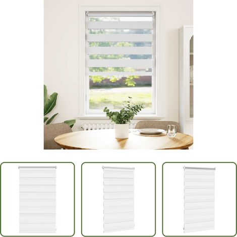 Fensterrollo -  Zebra-Rollo 50,9 x 100 cm, Stoffbreite 46,7 cm, Weiß (1/5)