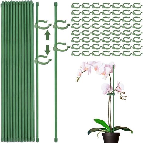 Supporti per piante, 30 pezzi, supporti per piante da interno, supporti per orchidee, 60 clip per steli di piante, fissaggio della crescita delle piante, proteggono le piante dall'inclinazione (verde  (1/5)