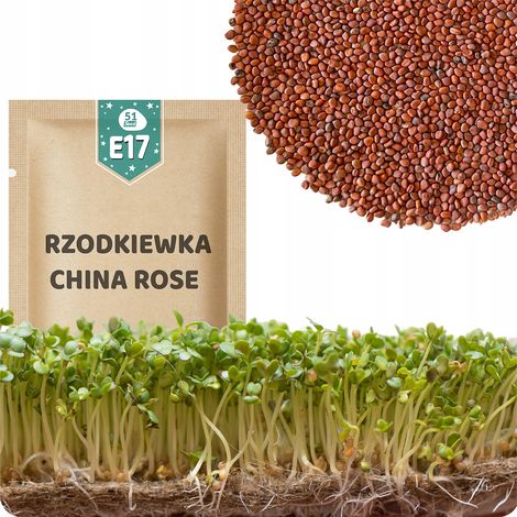 51Seed E17 SEMI DI GERMOGLI - RAFFREDDORE ROSA CINESE 20G