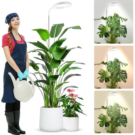 Lampe de Croissance Plante - 1 Unité - LED Spectre Complet - Col de Cygne 360° Réglable - Intérieur Serre Maison - 65 Pouces 80 LED