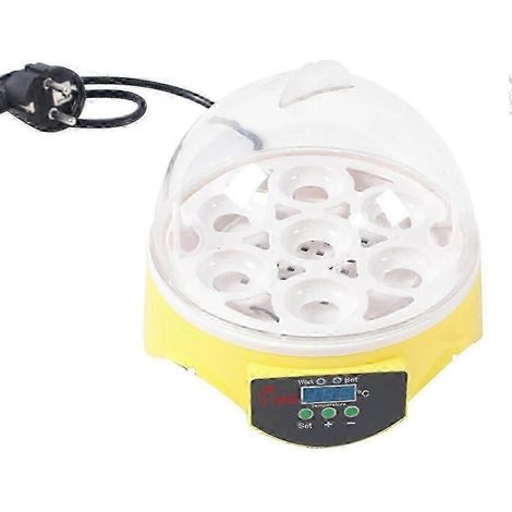 Mini couveuse pour œufs de tortues avec contrôle de température et éclosoir LED numérique (1/5)