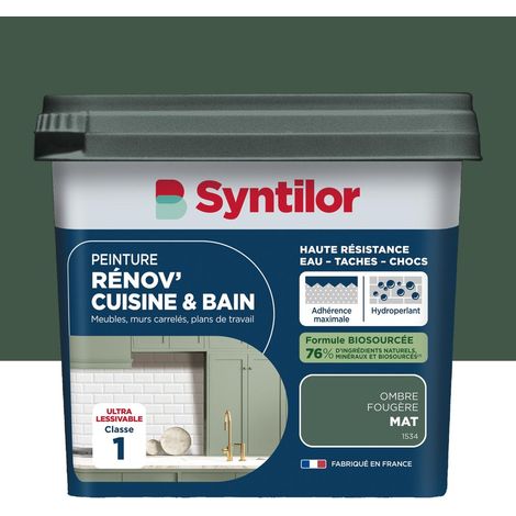 Peinture Rénov' Cuisine & Bain Biosourcée Syntilor 0,75L Ombre Fougère Mat (1/5)