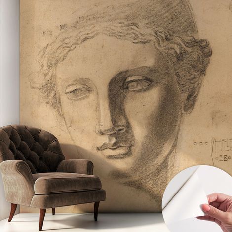 Tapete adhésive moderne pour salon et chambre à coucher Décoration rapide avec colle Portrait féminin 250x250 cm (1/5)