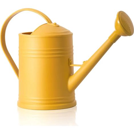 Petit arrosoir pour plantes dintrieur (1/5)
