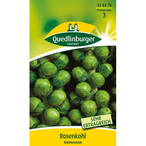 Quedlinburger Saatgut – Chou de Bruxelles Groninger – Graines de légumes, choux fermes et lisses, pour env. 150 plants (1/2)