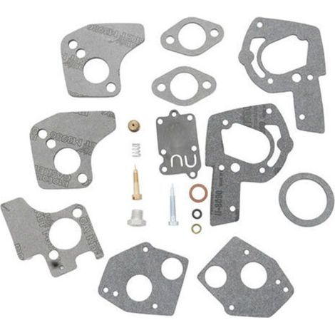 Kit joints carburateur Briggs & Stratton