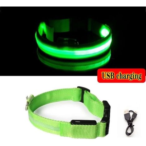 (Grünes USB-Ladekabel M) Anti-Verlust-LED-Leuchthalsband für Hunde, Nachtaccessoire für Welpen, USB-Ladegerät, Akku (1/4)