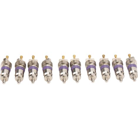 20 Pièces Noyau de Valve Climatisation Auto Remplacement pour Mercedes-Benz Air Conditionneur Automobile Tige de Valve AC (1/5)