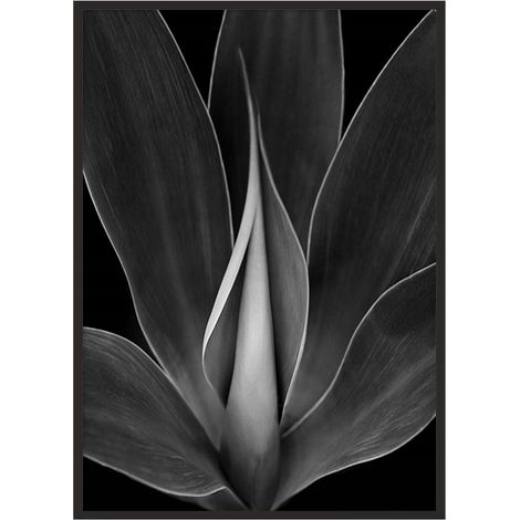 Póster con marco 53x73 cm Flor P1036 (1/4)
