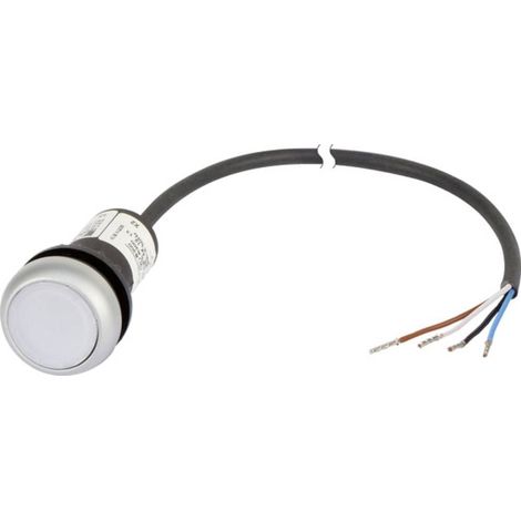 Eaton 185588 C22-DL-W-K10-24-P62 Pulsante piatto Bianco 1 pz.