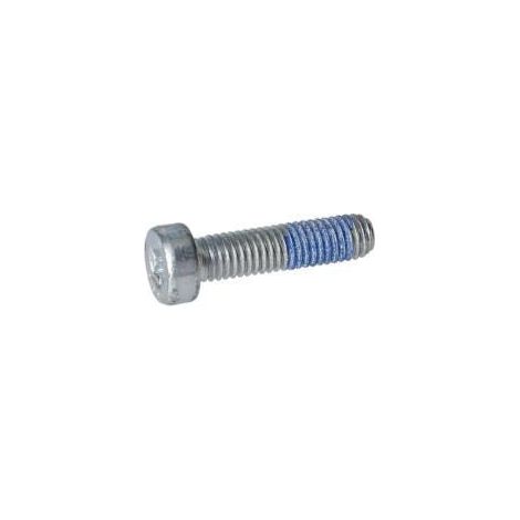 Vis bombee torx cbx pour Taille-Haie BOSCH OUTILLAGES - 1613414026
