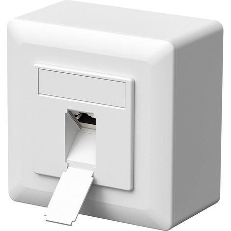 Prise réseau universelle - Prise de données CAT6a - 1 port RJ45 - Montage en saillie ou encastré - 10 Gigabit Ethernet - Prise LAN - Pour câble réseau - Câble de pose - Blanc (1/5)