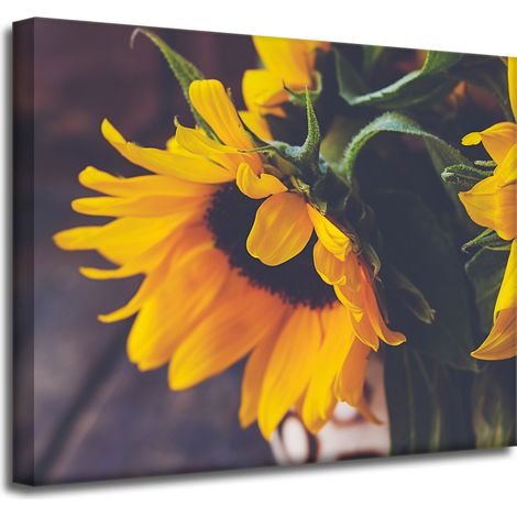 Leinwanddruck Botanik Sonnenblumen 50x40 cm