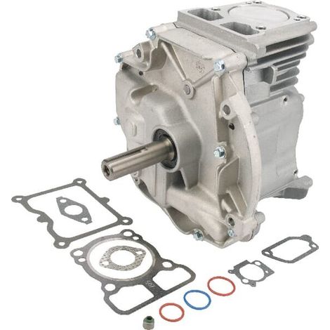 Shortblock DOV 80x22,2 BRIGGS ET STRATTON 795156A