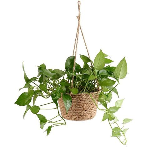 Pot de fleurs à suspendre en corde de jute - Panier pliable en jonc de mer, macramé - pour plantes succulentes, décoration intérieure ou extérieure MNS (1/4)