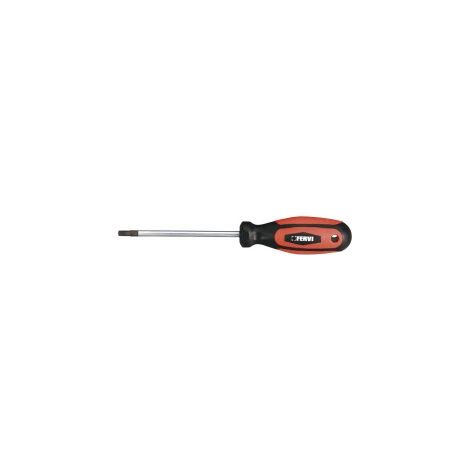 CACCIAVITE TORX T10x80