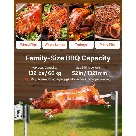 Barbecue Rôtissoire Capacité de Charge de 60 kg Kit de (1/5)