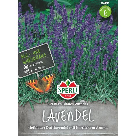 Sperli Lavendel Blaues Wunder - Blumensamen (1/2)